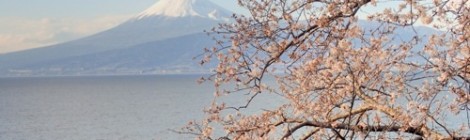 2015.3.24 桜と海と富士山