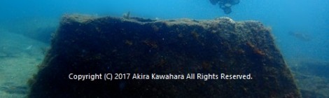 2017.7.7 大瀬崎海底遺跡発見！！！？？？