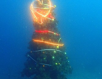2017.12.14　世界初！？水深10ｍの海中イルミのクリスマスツリー♪