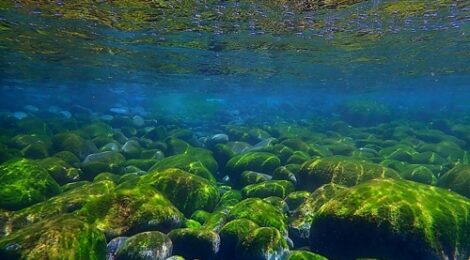 春の海は天国