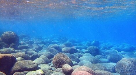 外海透明度20mベタナギ