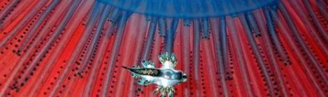 ウミウシ天国 タイヘイヨウアオミノウミウシ ヒダミノ オセザキエンシス