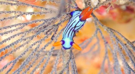 外海ウネリ無し流れ無し