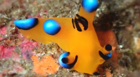 人生初ピカの瞬間